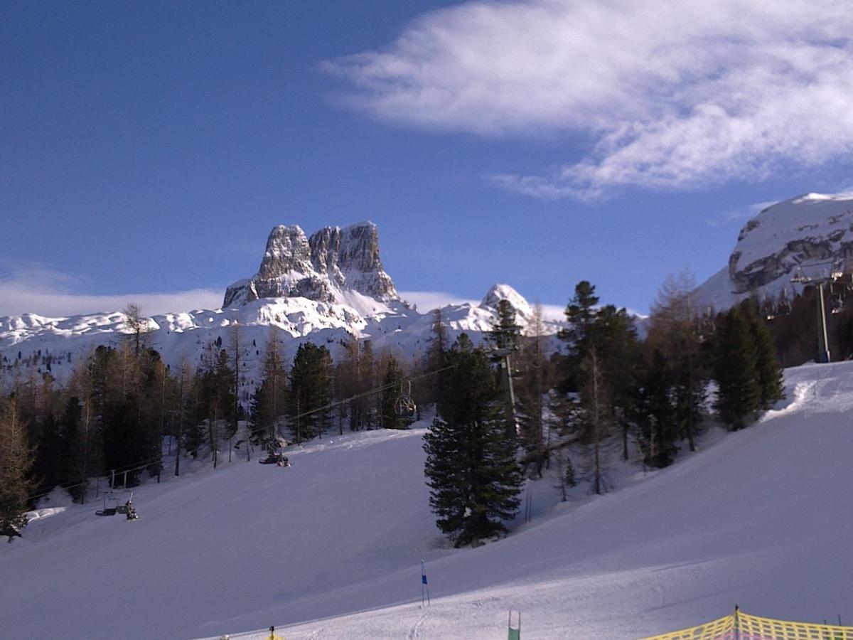 Calalzo di Cadore Margiola酒店 外观 照片